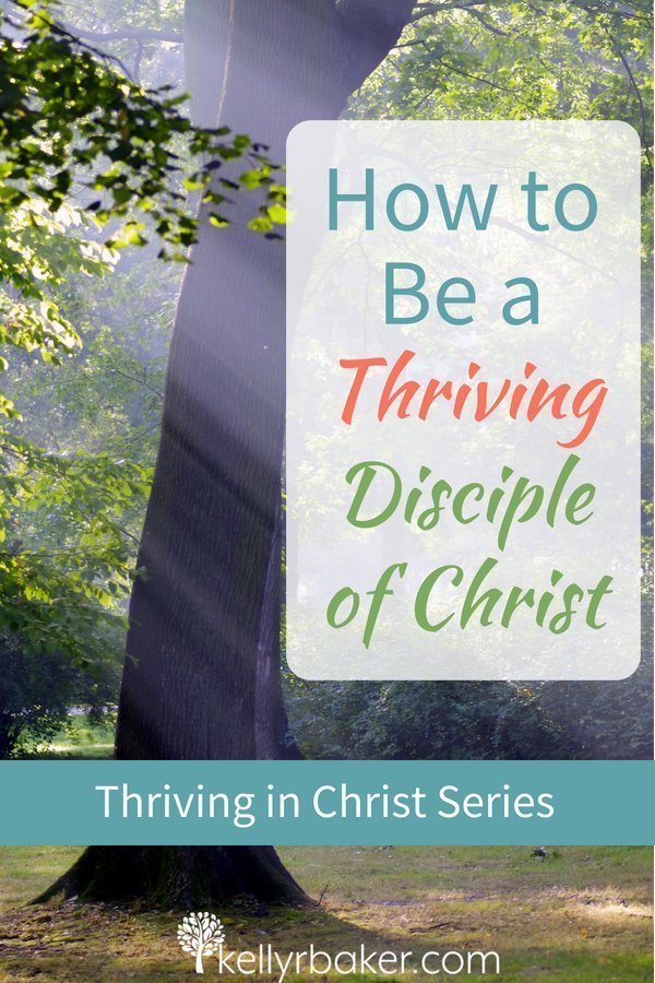 What a Thriving Disciple of Christ Does and Doesn’t Do