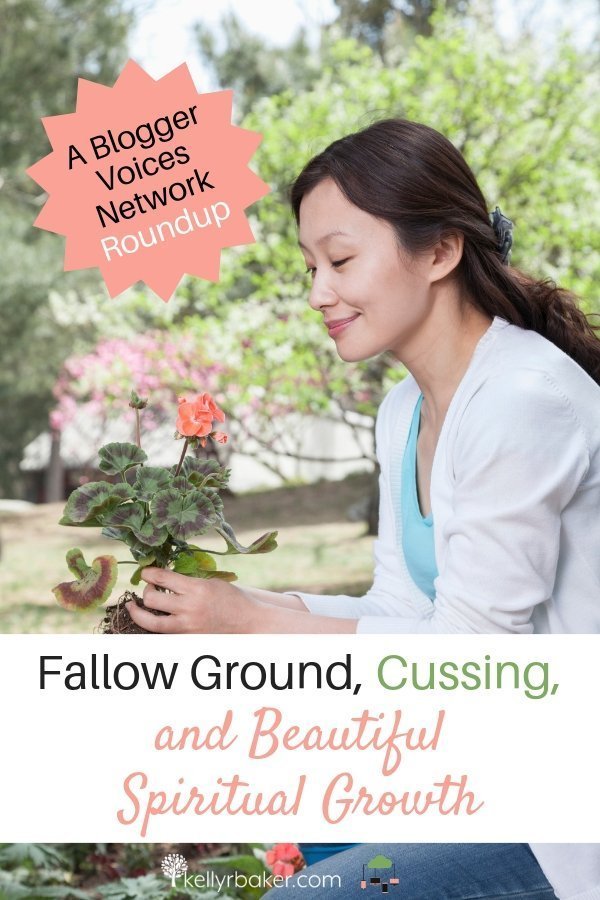 Is my heart fallow ground? If I don’t plant anything, I’m not going to see anything grow. Zero plus zero still equals zero. #BloggerVoicesNetwork #BVNetworkParty #ThrivingInChrist #blogger #wisdom #spiritualgrowth #Christian #blog #tongue #cursing #fallowground