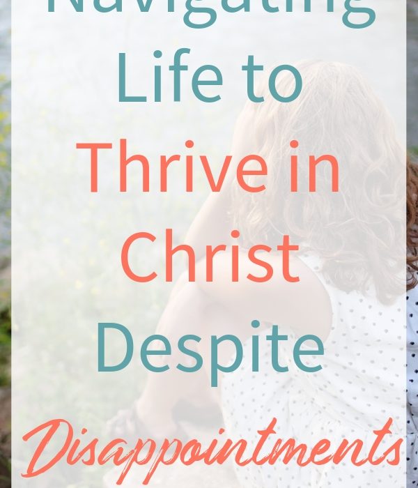 Navigating Life to Thrive in Christ Despite Disappointments