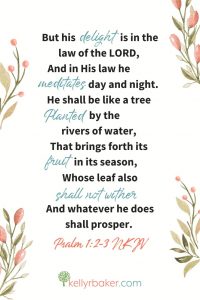 Start Here (Psalm 1:2-3) - Kelly R Baker