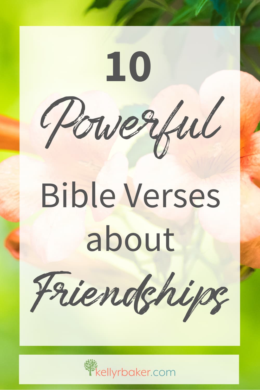 Top 10 Bible Verses About Friendship + Jesus’ Example
